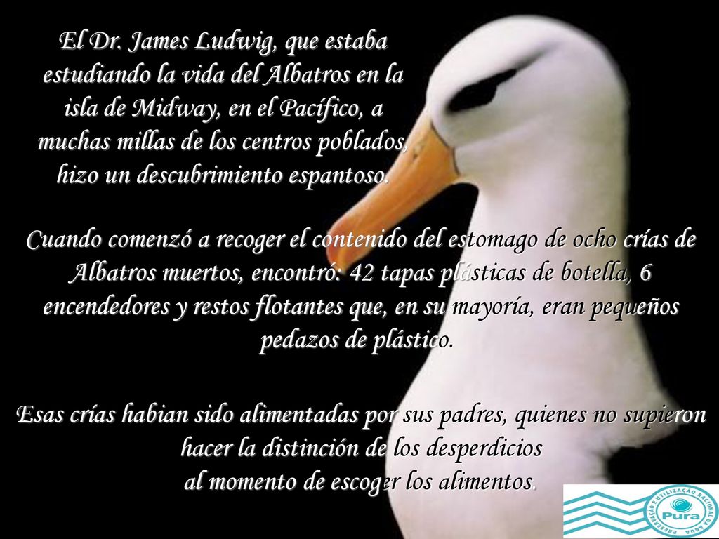 El Dr. James Ludwig, que estaba estudiando la vida del Albatros en la isla de Midway, en el Pacífico, a muchas millas de los centros poblados, hizo un descubrimiento espantoso.