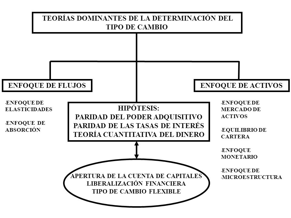 TEORÍAS DOMINANTES DE LA DETERMINACIÓN DEL TIPO DE CAMBIO