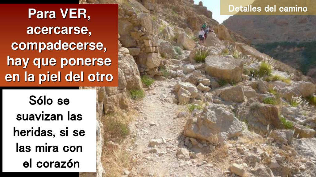 Para VER, acercarse, compadecerse, hay que ponerse en la piel del otro