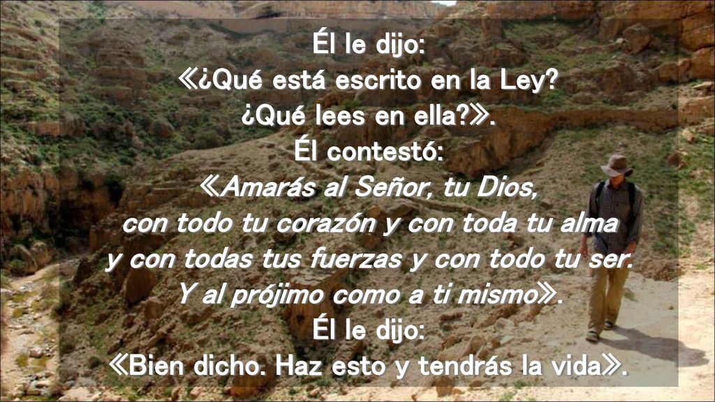 Él le dijo: «¿Qué está escrito en la Ley. ¿Qué lees en ella. »