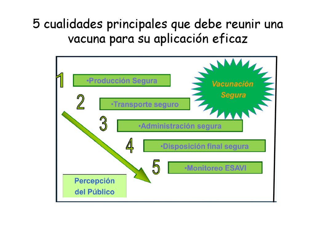 5 cualidades principales que debe reunir una vacuna para su aplicación eficaz