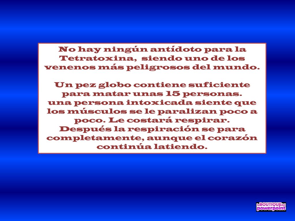Un pez globo contiene suficiente para matar unas 15 personas.
