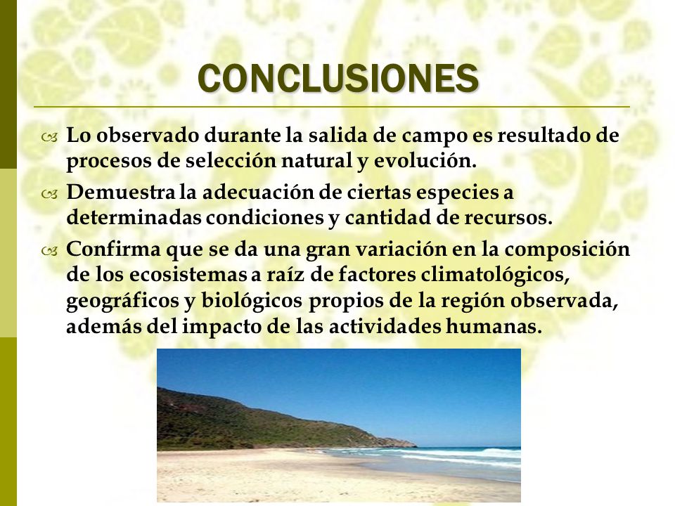 CONCLUSIONES Lo observado durante la salida de campo es resultado de procesos de selección natural y evolución.