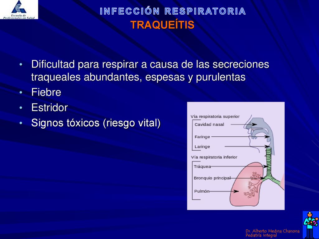 TRAQUEÍTIS Dificultad para respirar a causa de las secreciones traqueales abundantes, espesas y purulentas.