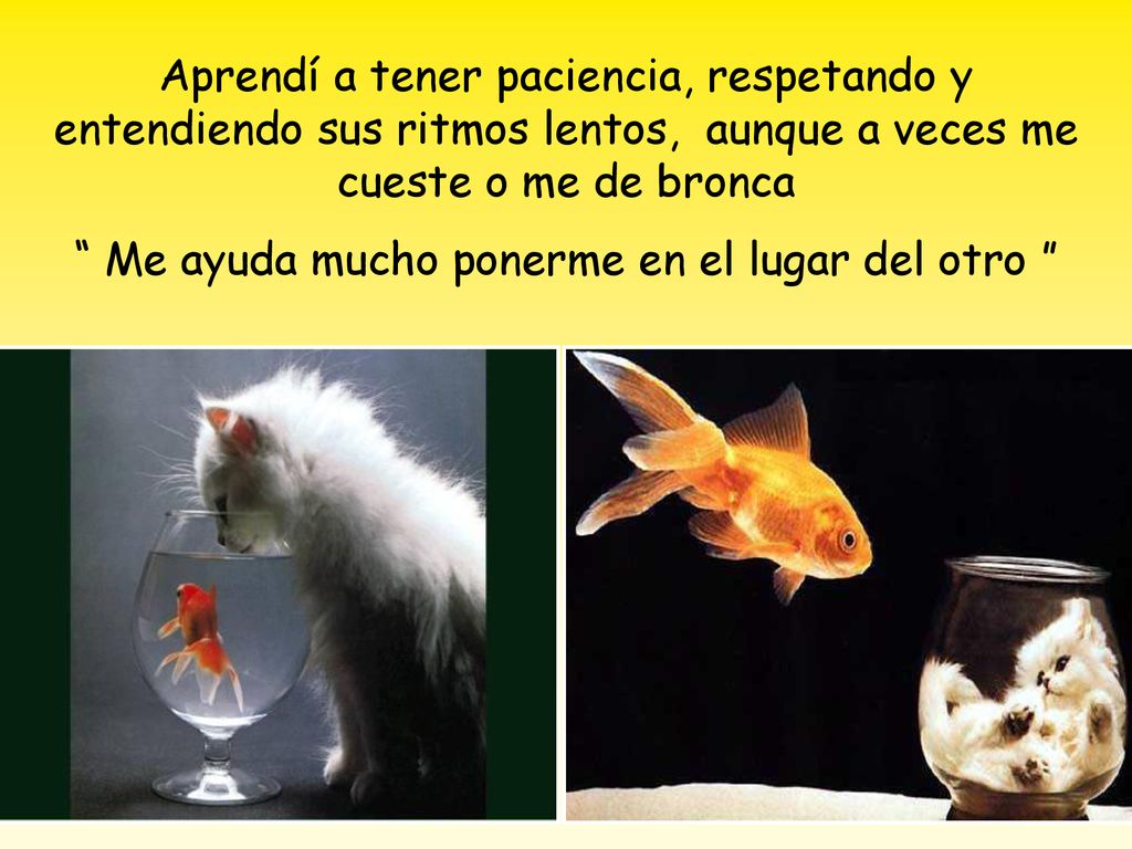 Aprendí a tener paciencia, respetando y entendiendo sus ritmos lentos, aunque a veces me cueste o me de bronca Me ayuda mucho ponerme en el lugar del otro