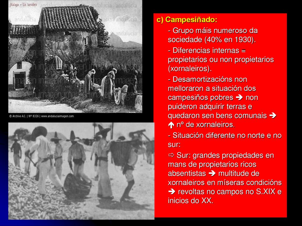 c) Campesiñado: - Grupo máis numeroso da sociedade (40% en 1930). - Diferencias internas = propietarios ou non propietarios (xornaleiros).