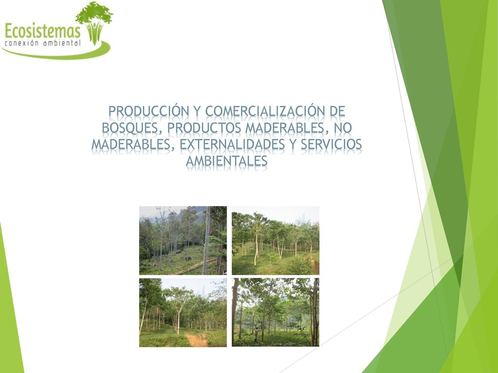 PRODUCCIÓN Y COMERCIALIZACIÓN DE BOSQUES, PRODUCTOS MADERABLES, NO MADERABLES, EXTERNALIDADES Y SERVICIOS AMBIENTALES