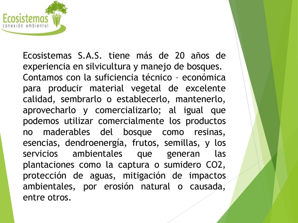Ecosistemas S.A.S. tiene más de 20 años de experiencia en silvicultura y manejo de bosques.