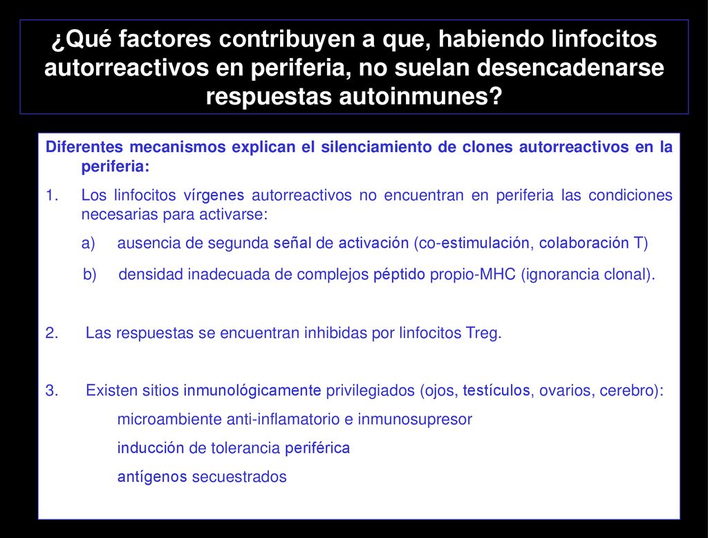 ¿Qué factores contribuyen a que, habiendo linfocitos autorreactivos en periferia, no suelan desencadenarse respuestas autoinmunes