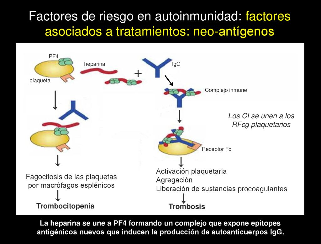 Factores de riesgo en autoinmunidad: factores asociados a tratamientos: neo-antígenos