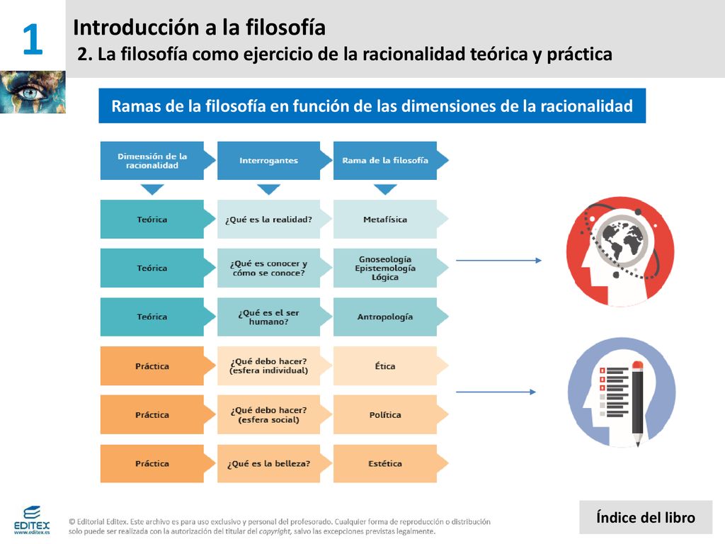 Ramas de la filosofía en función de las dimensiones de la racionalidad
