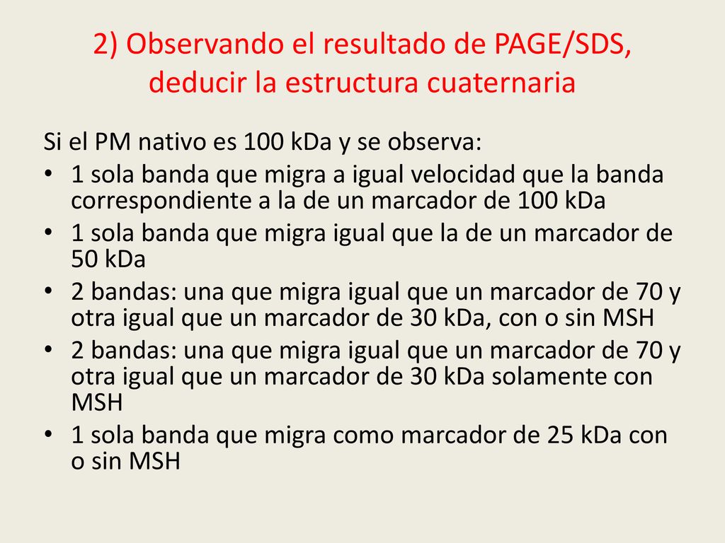 2) Observando el resultado de PAGE/SDS, deducir la estructura cuaternaria