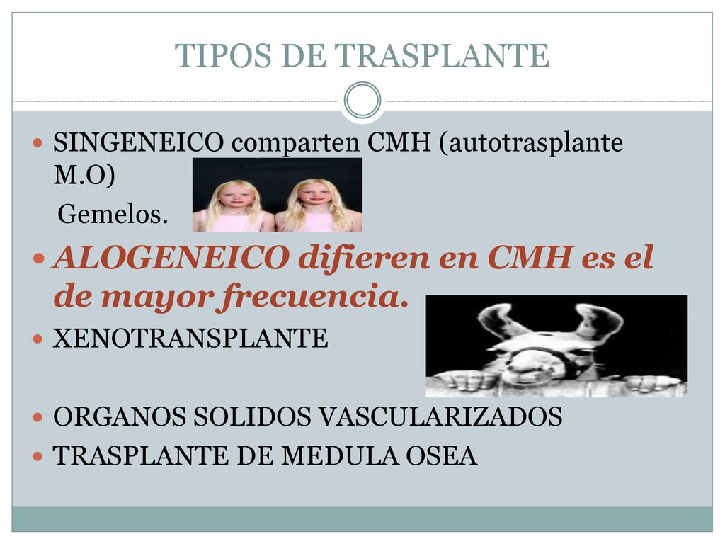 TIPOS DE TRASPLANTE SINGENEICO comparten CMH (autotrasplante M.O) Gemelos. ALOGENEICO difieren en CMH es el de mayor frecuencia.