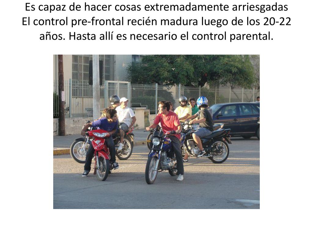 Es capaz de hacer cosas extremadamente arriesgadas El control pre-frontal recién madura luego de los años.