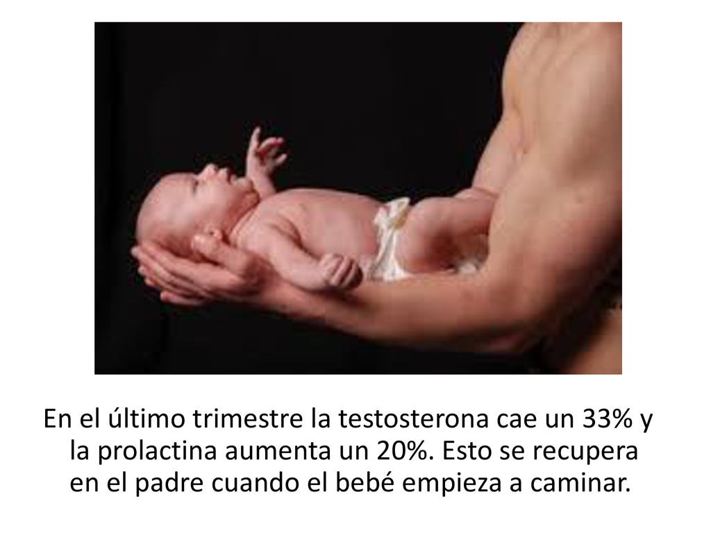 En el último trimestre la testosterona cae un 33% y la prolactina aumenta un 20%.