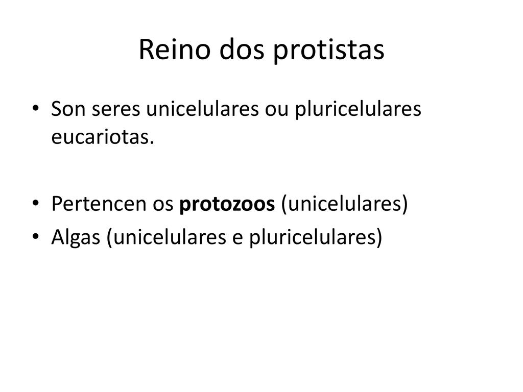 Reino dos protistas Son seres unicelulares ou pluricelulares eucariotas. Pertencen os protozoos (unicelulares)