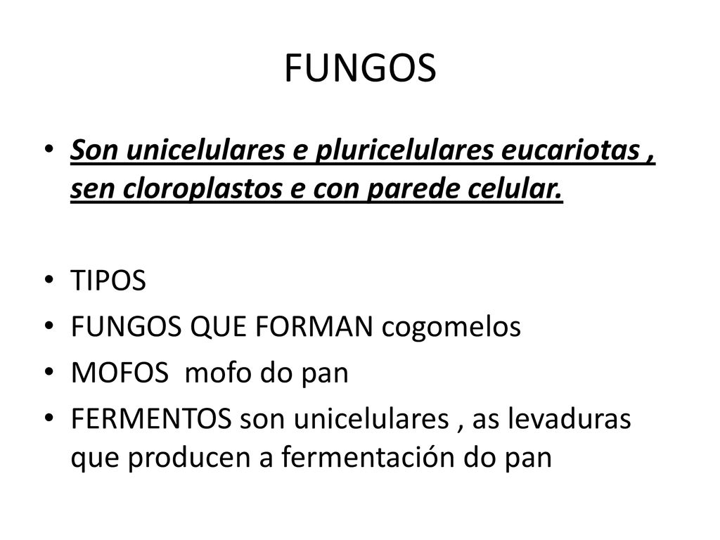 FUNGOS Son unicelulares e pluricelulares eucariotas , sen cloroplastos e con parede celular. TIPOS.