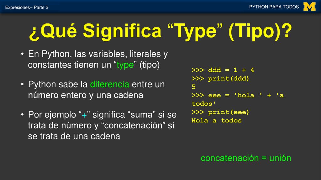 ¿Qué Significa Type (Tipo)