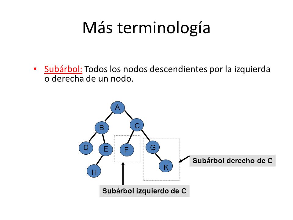 Más terminología Subárbol: Todos los nodos descendientes por la izquierda o derecha de un nodo. A.