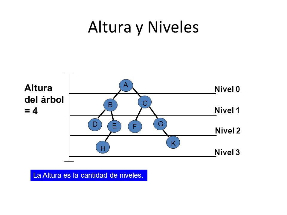 Altura y Niveles Altura del árbol = 4 Nivel 0 Nivel 1 Nivel 2 Nivel 3