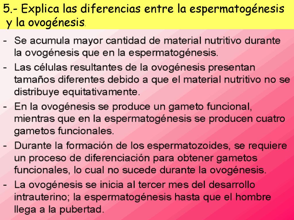 5.- Explica las diferencias entre la espermatogénesis y la ovogénesis.