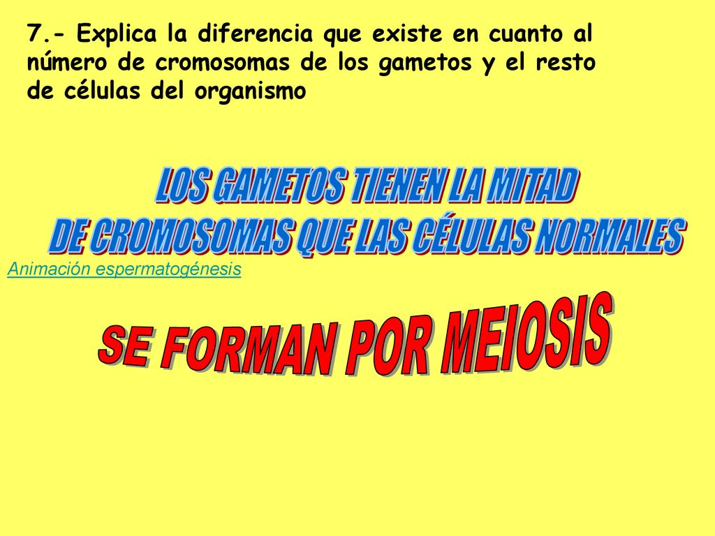 LOS GAMETOS TIENEN LA MITAD DE CROMOSOMAS QUE LAS CÉLULAS NORMALES