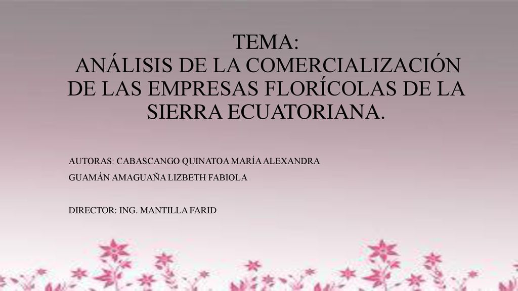 TEMA: ANÁLISIS DE LA COMERCIALIZACIÓN DE LAS EMPRESAS FLORÍCOLAS DE LA SIERRA ECUATORIANA.