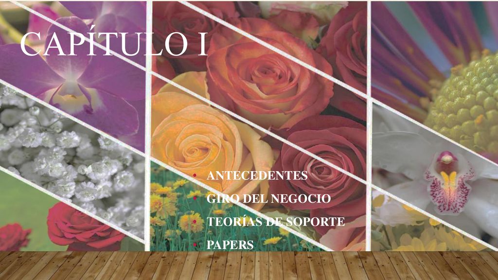 Antecedentes Giro del negocio Teorías de Soporte Papers