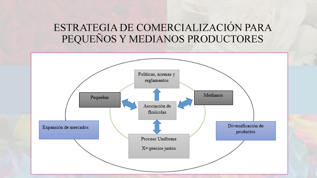 Estrategia de comercialización para pequeños y medianos productores