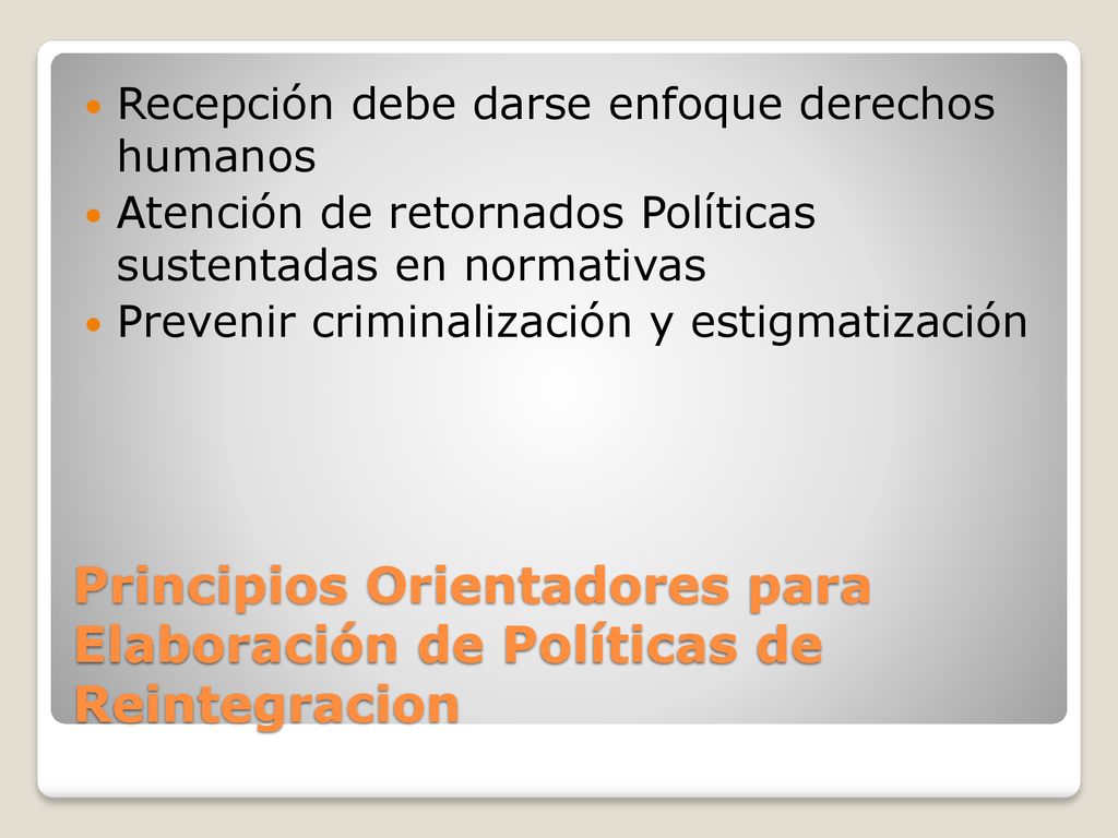 Principios Orientadores para Elaboración de Políticas de Reintegracion