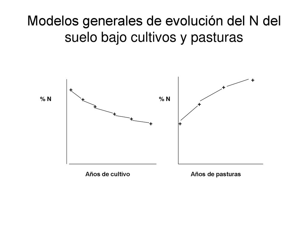 Modelos generales de evolución del N del suelo bajo cultivos y pasturas