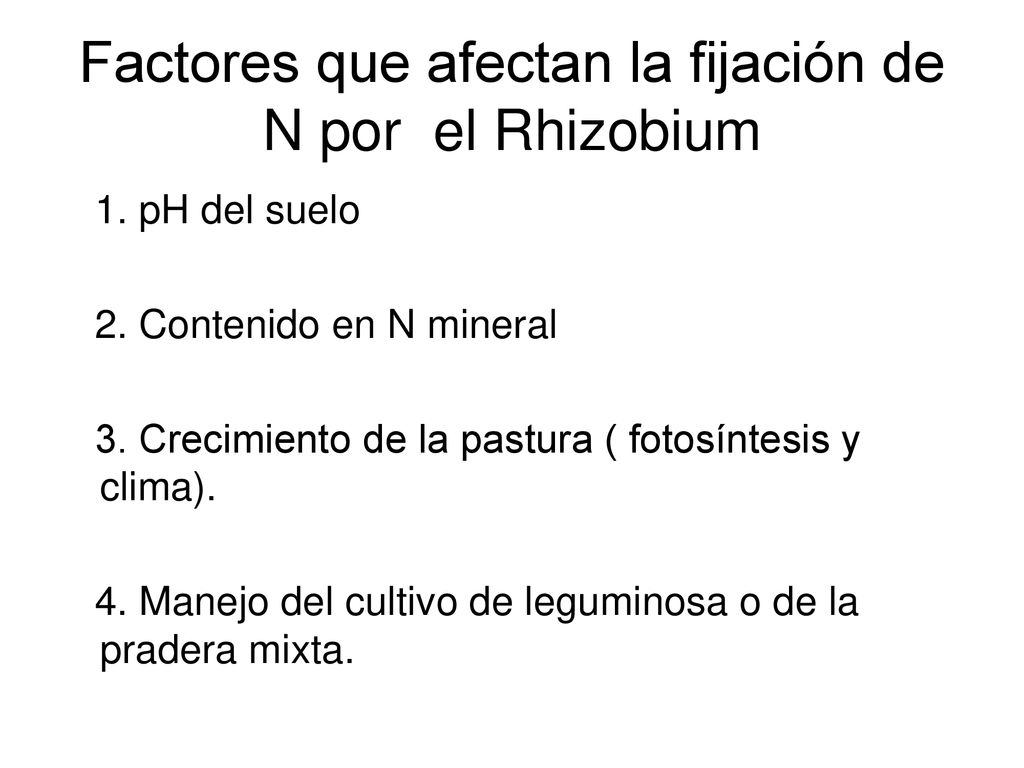 Factores que afectan la fijación de N por el Rhizobium