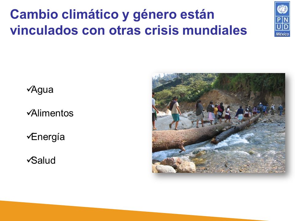 Cambio climático y género están vinculados con otras crisis mundiales