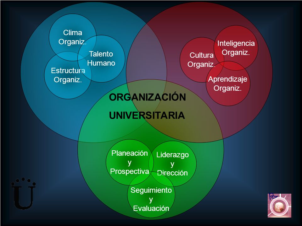 ORGANIZACIÓN UNIVERSITARIA  Clima Organiz. Inteligencia Organiz.