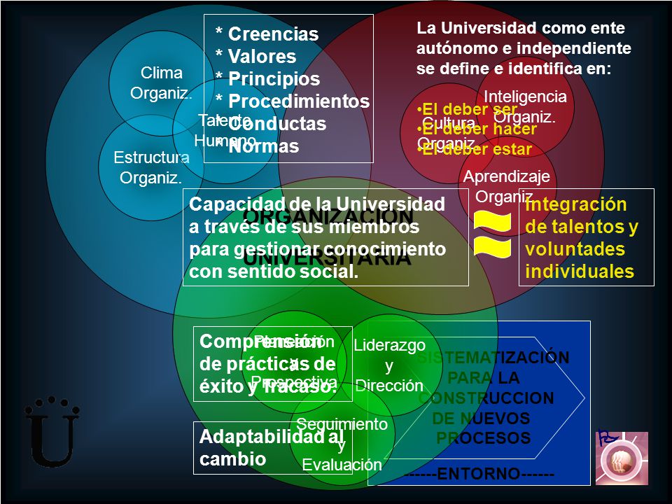 ORGANIZACIÓN UNIVERSITARIA    * Creencias * Valores * Principios