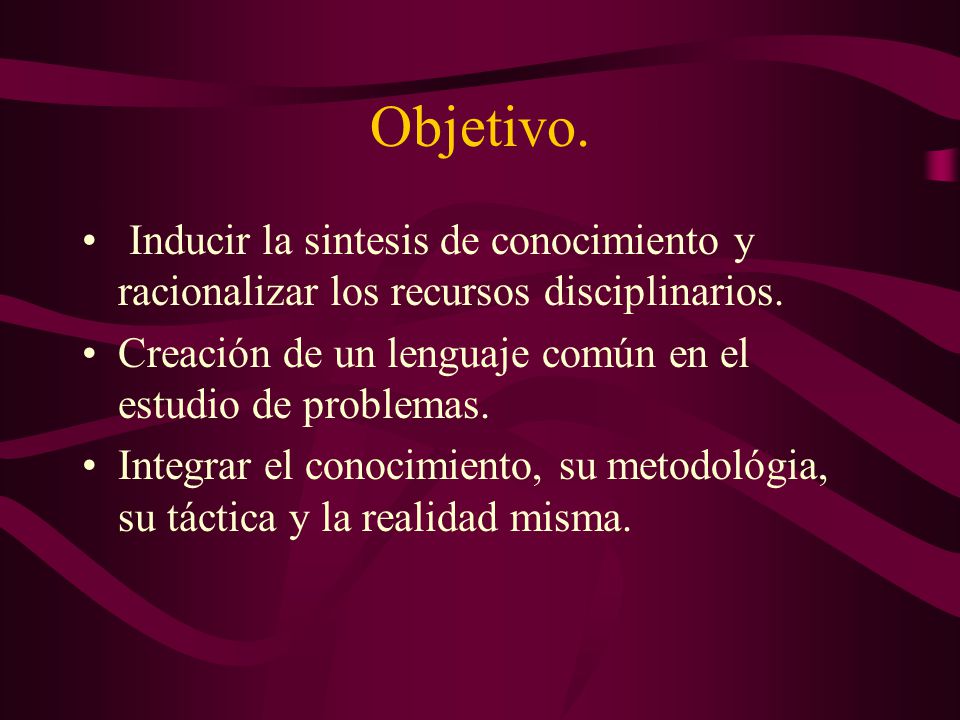 Objetivo. Inducir la sintesis de conocimiento y racionalizar los recursos disciplinarios. Creación de un lenguaje común en el estudio de problemas.