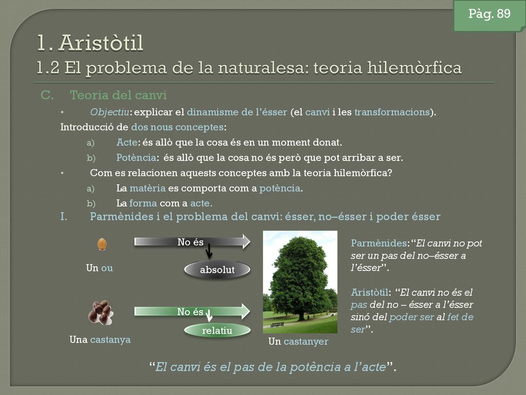1. Aristòtil 1.2 El problema de la naturalesa: teoria hilemòrfica