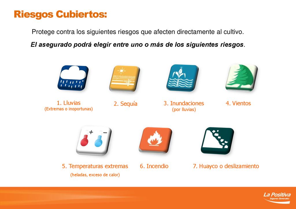 Riesgos Cubiertos: Protege contra los siguientes riesgos que afecten directamente al cultivo.