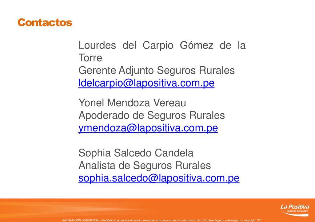 Lourdes del Carpio Gómez de la Torre Gerente Adjunto Seguros Rurales