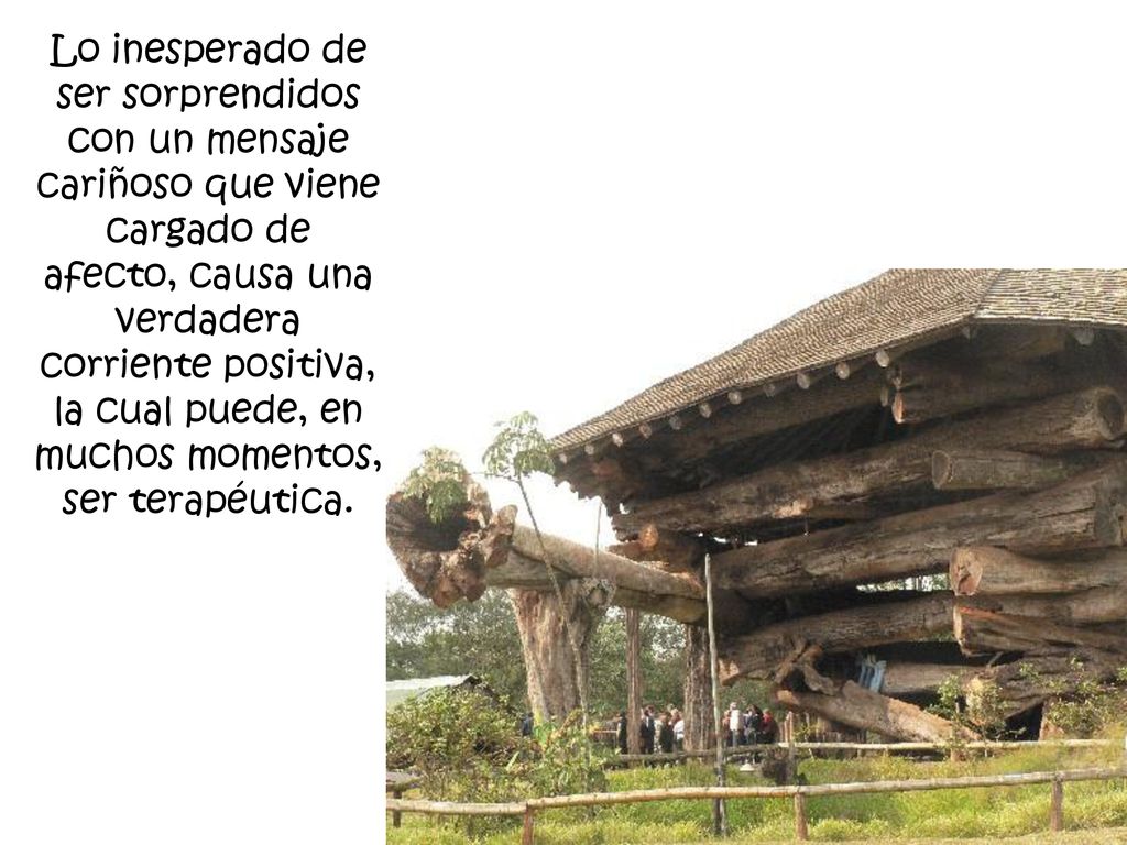 Lo inesperado de ser sorprendidos con un mensaje cariñoso que viene cargado de afecto, causa una verdadera corriente positiva, la cual puede, en muchos momentos, ser terapéutica.