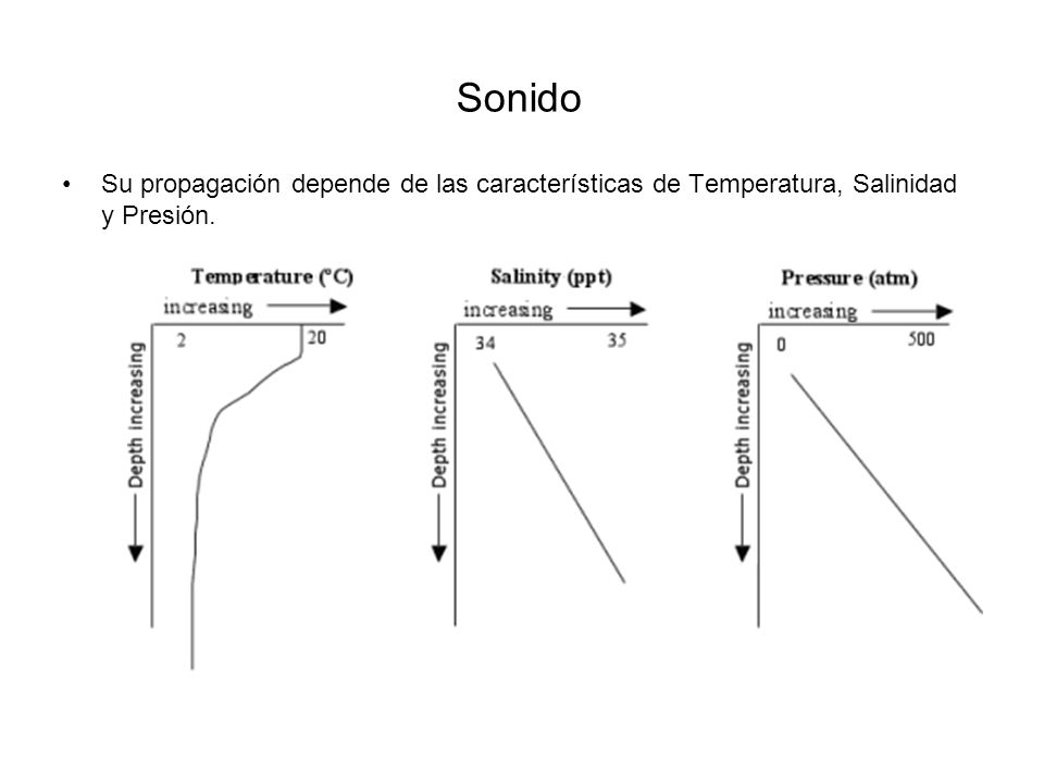 Sonido Su propagación depende de las características de Temperatura, Salinidad y Presión.