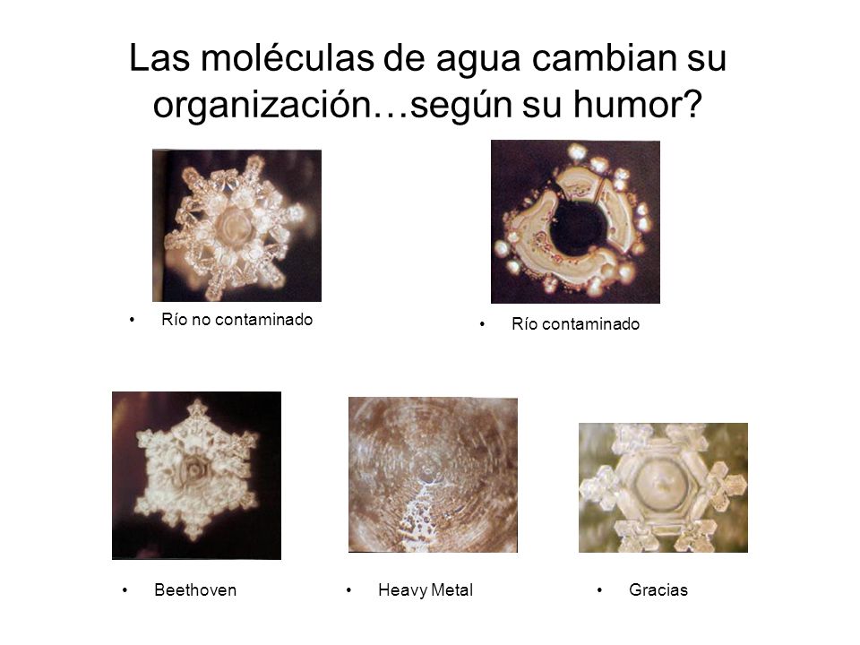 Las moléculas de agua cambian su organización…según su humor