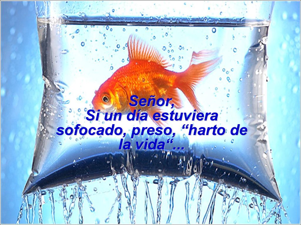 Señor, Si un día estuviera sofocado, preso, harto de la vida ...