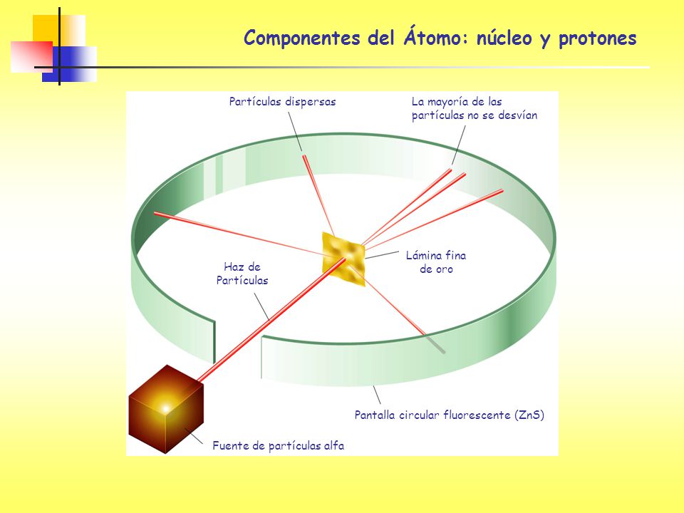 Componentes del Átomo: núcleo y protones