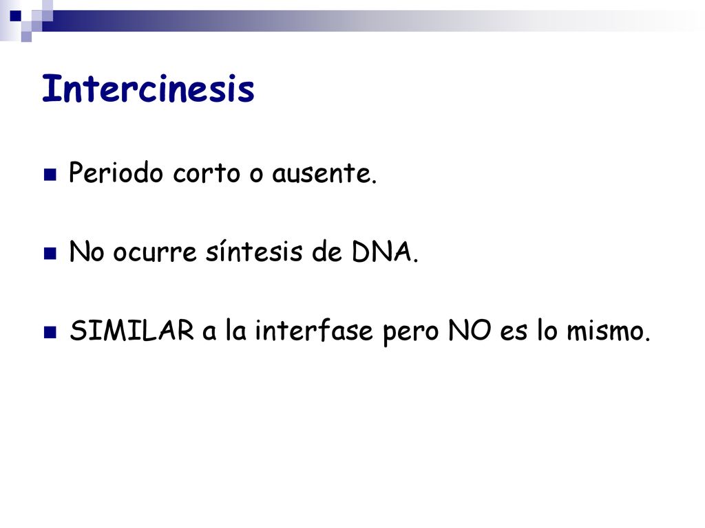 Intercinesis Periodo corto o ausente. No ocurre síntesis de DNA.