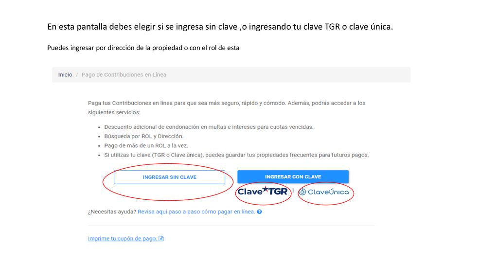 En esta pantalla debes elegir si se ingresa sin clave ,o ingresando tu clave TGR o clave única.