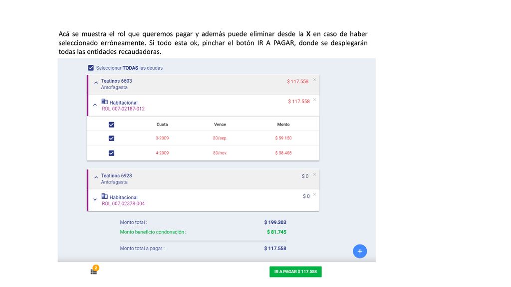 Acá se muestra el rol que queremos pagar y además puede eliminar desde la X en caso de haber seleccionado erróneamente.