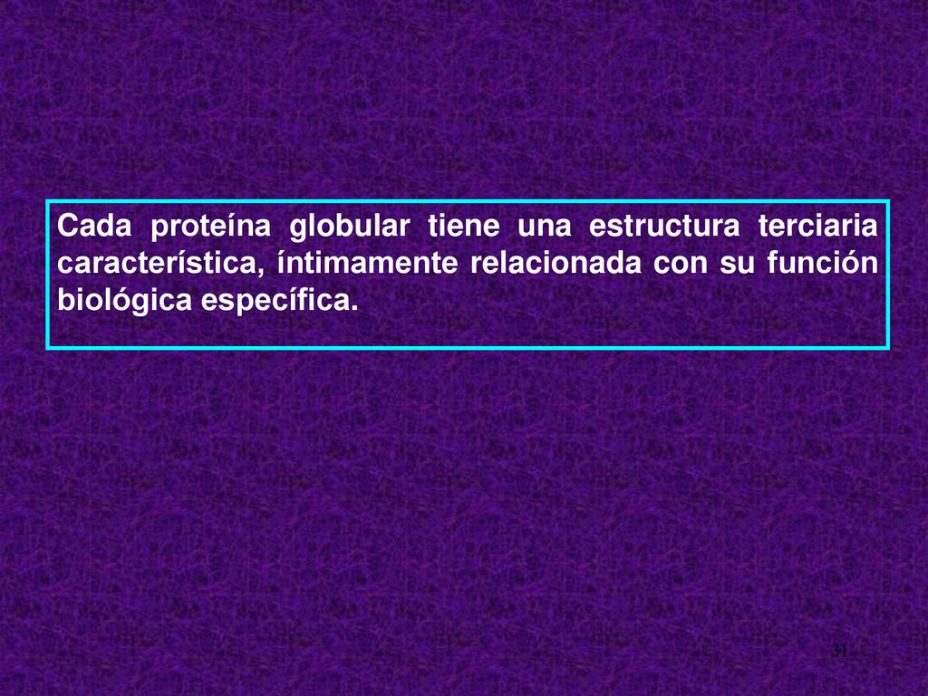 Cada proteína globular tiene una estructura terciaria característica, íntimamente relacionada con su función biológica específica.