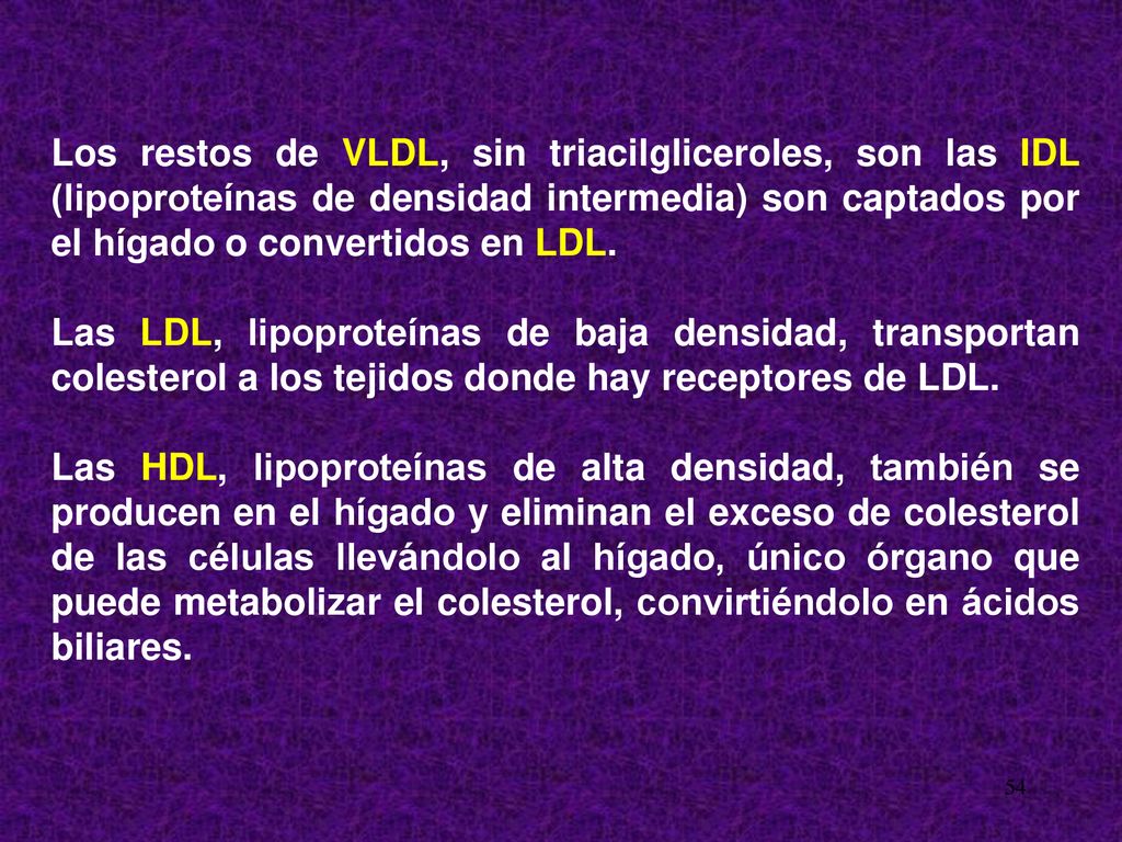 Los restos de VLDL, sin triacilgliceroles, son las IDL (lipoproteínas de densidad intermedia) son captados por el hígado o convertidos en LDL.