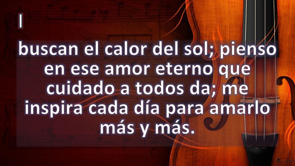 I buscan el calor del sol; pienso en ese amor eterno que cuidado a todos da; me inspira cada día para amarlo más y más.